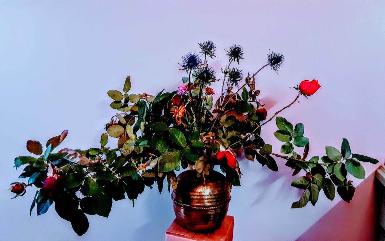 ホテルCap Det Bosc Réjaumont エクステリア 写真